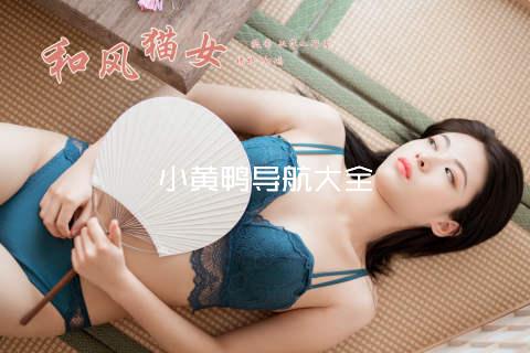 小黄鸭导航大全